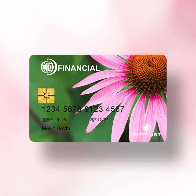 STAMPANTE SMART CARD 1